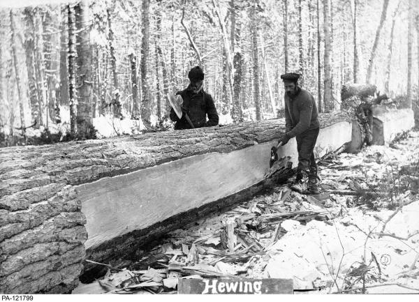 Hewing square timber (circa 1912) 